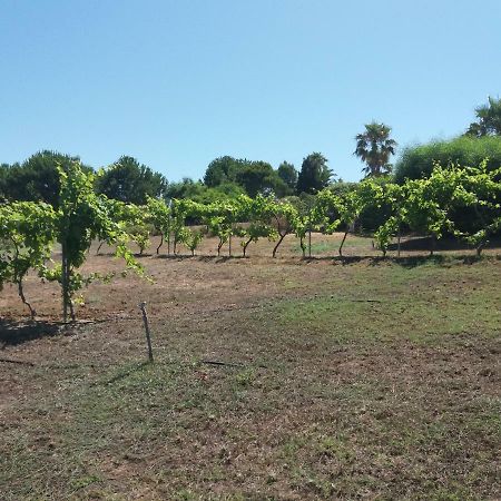 Villa Kos 马斯蒂查里 外观 照片