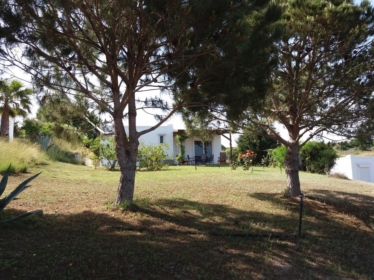 Villa Kos 马斯蒂查里 外观 照片