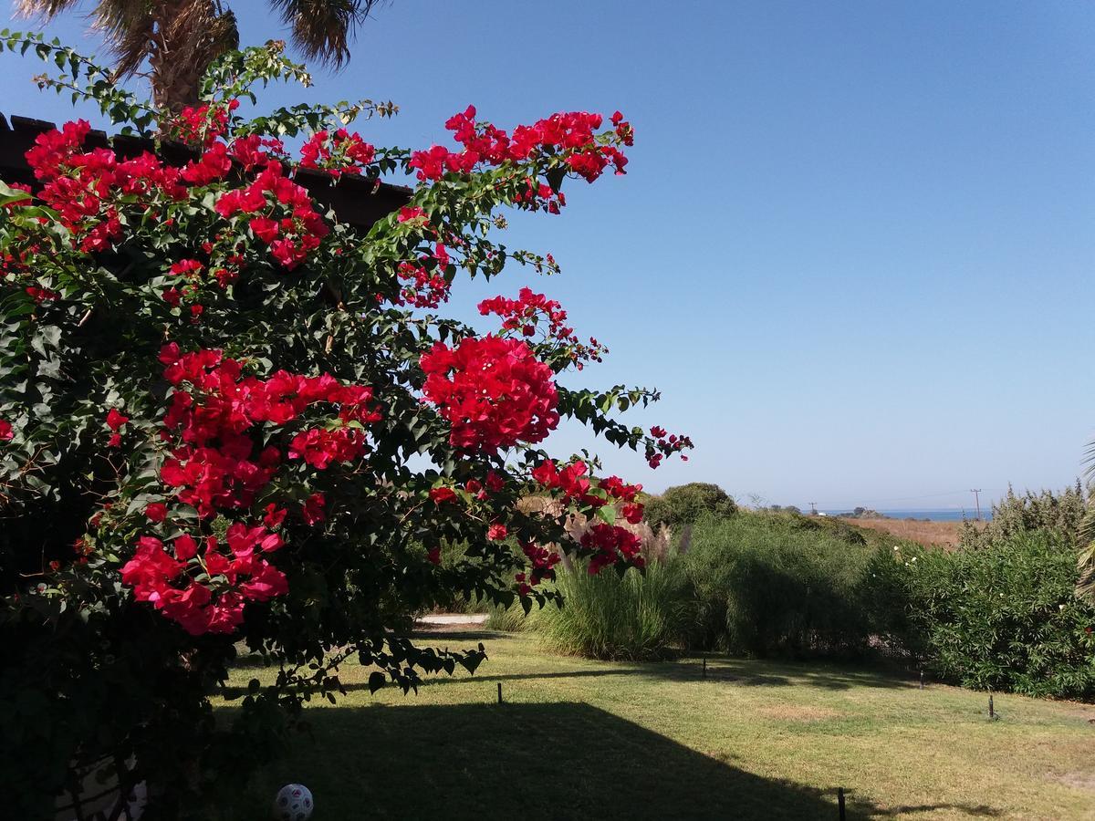Villa Kos 马斯蒂查里 外观 照片