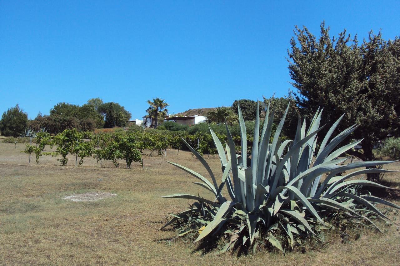Villa Kos 马斯蒂查里 外观 照片