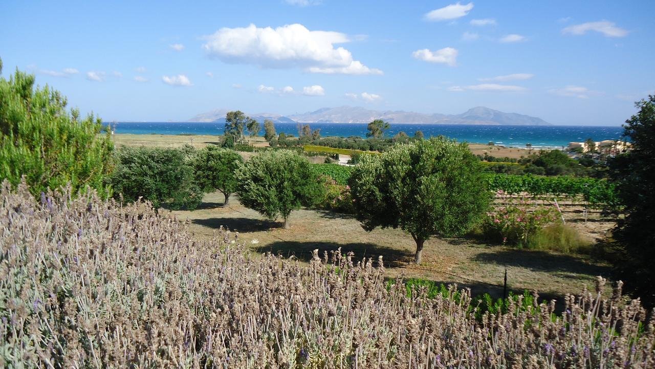 Villa Kos 马斯蒂查里 外观 照片