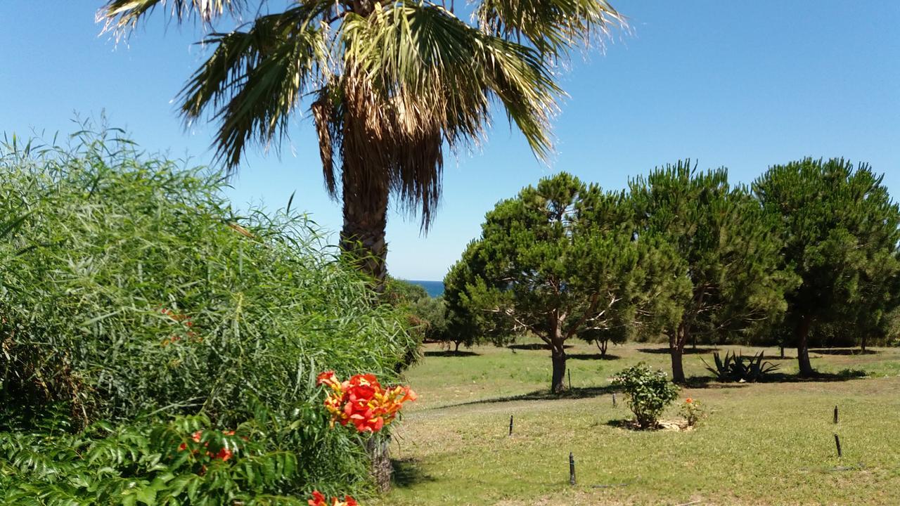 Villa Kos 马斯蒂查里 外观 照片