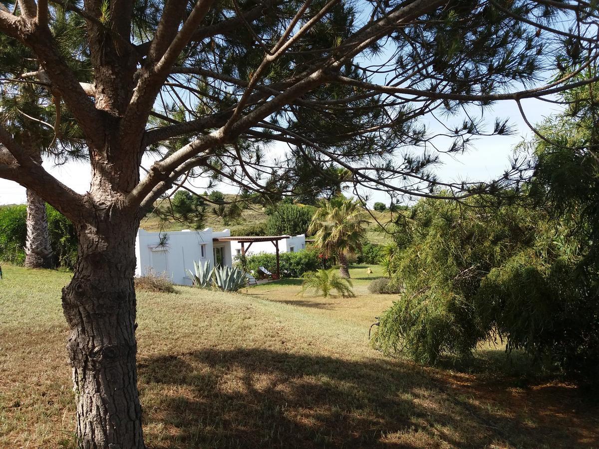 Villa Kos 马斯蒂查里 外观 照片