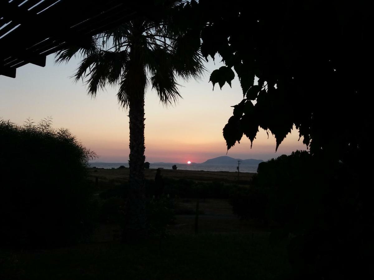 Villa Kos 马斯蒂查里 外观 照片